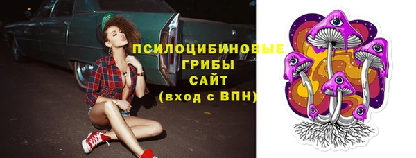MESCALINE Богородицк