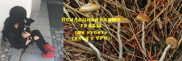 мдпв Богданович