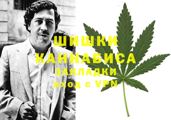 мдпв Богданович