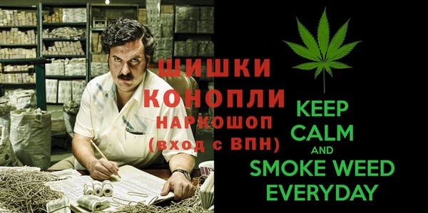 сатива Белокуриха