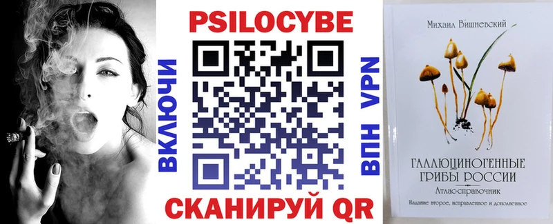 цена наркотик omg tor Галлюциногенные грибы Psilocybine cubensis Медногорск
