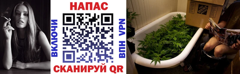 дарнет шоп OMG ТОР Канабис MAZAR Медногорск